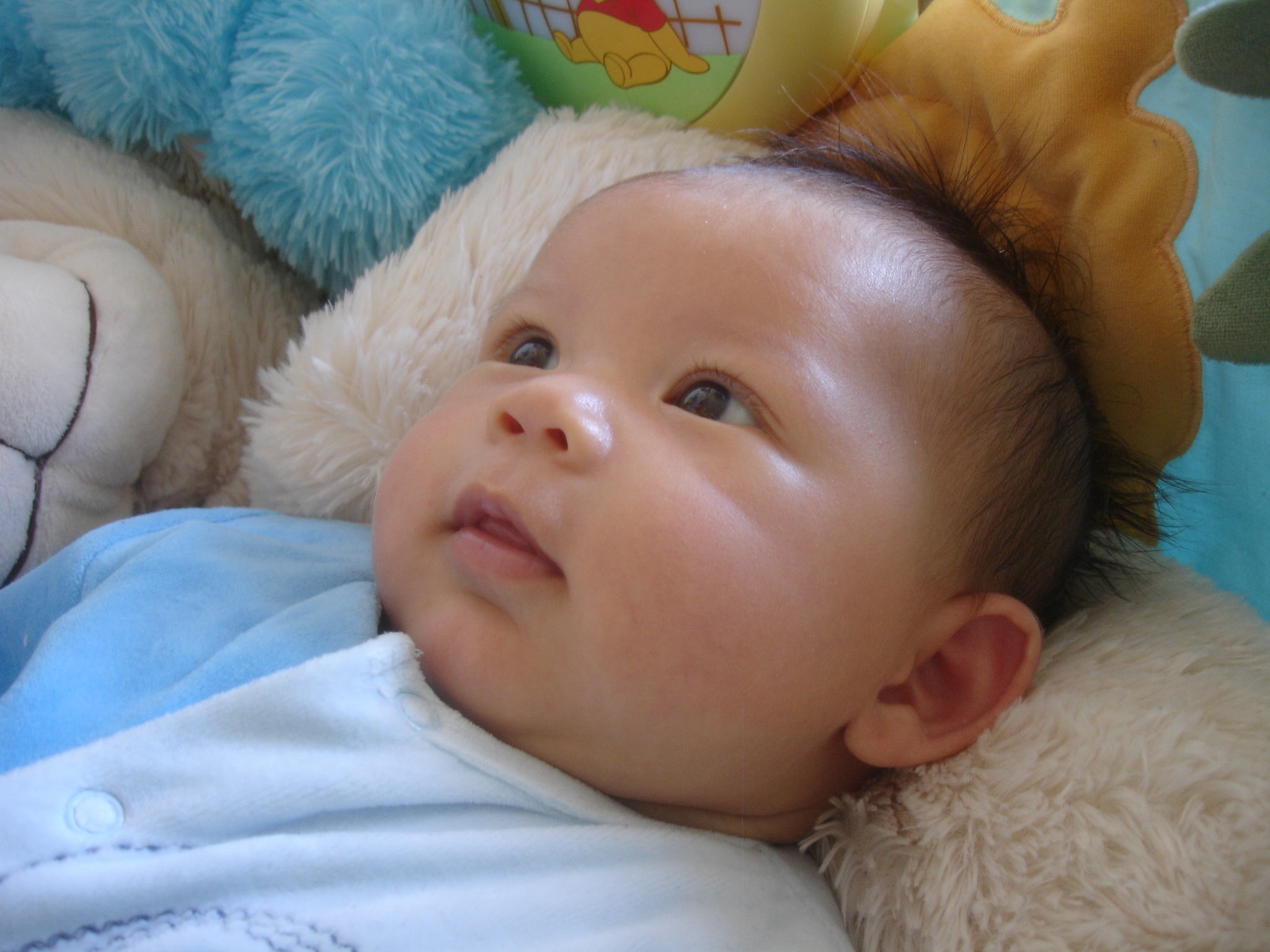 DSC05985.JPG