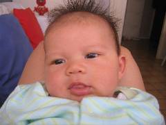 Teo 10 semaines 018