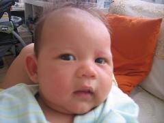 Teo 10 semaines 025