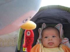 PICTSc 026