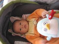 PICTSc 027