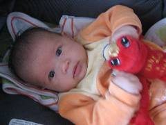 PICTSc 032