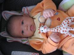 PICTSc 033