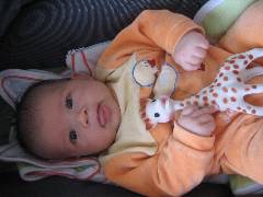 PICTSc 034