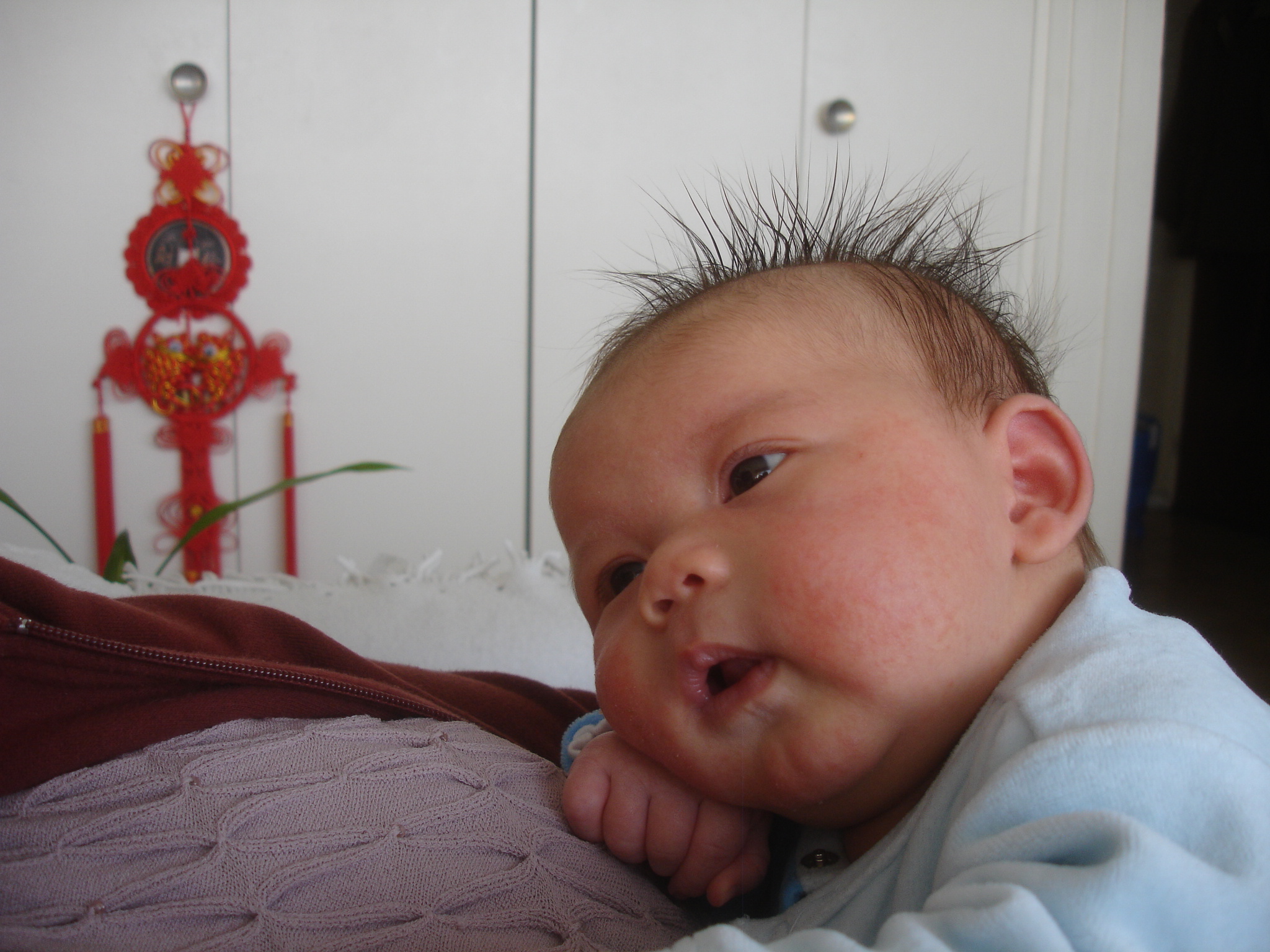 DSC05692.JPG