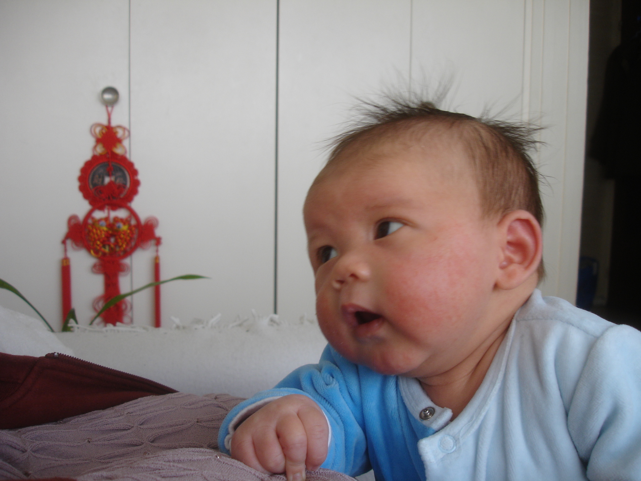DSC05707.JPG