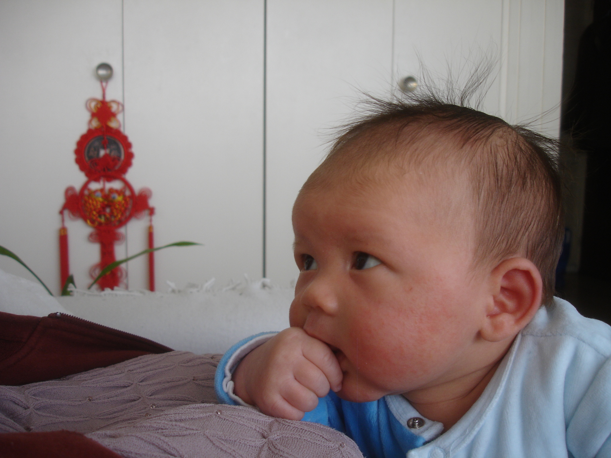 DSC05709.JPG