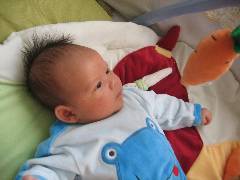 Teo 6 semaines 012