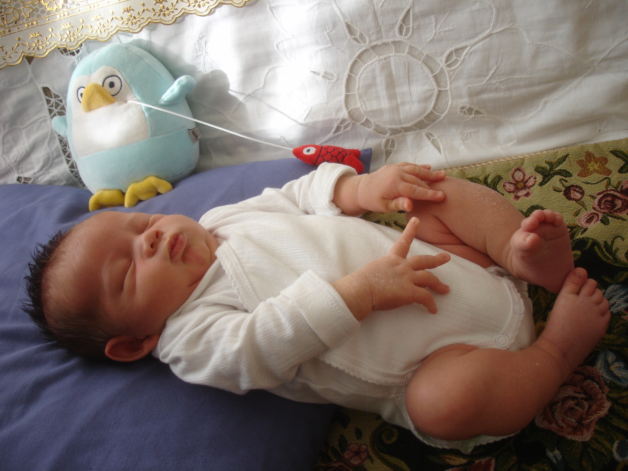 DSC05074.JPG