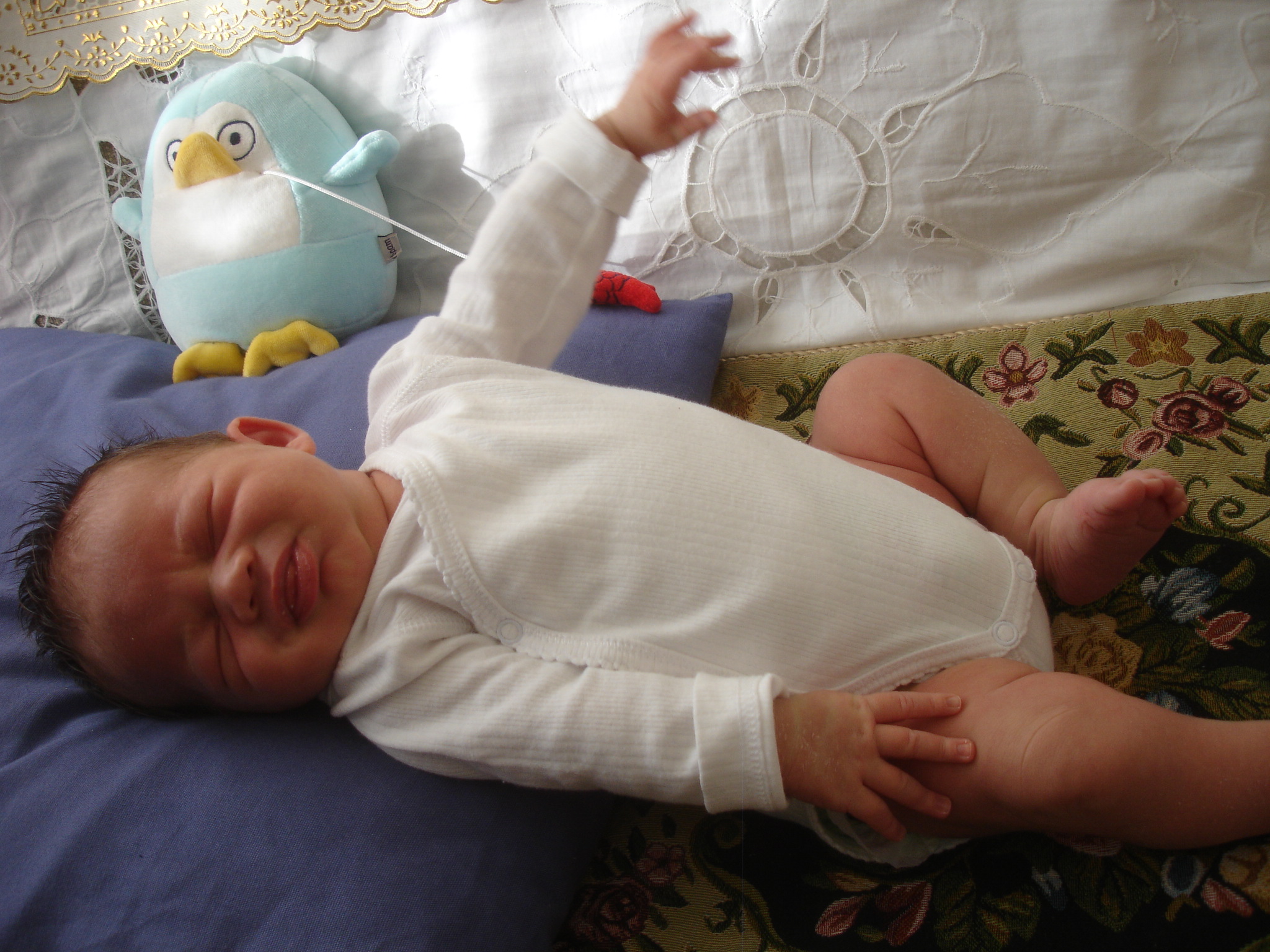 DSC05076.JPG