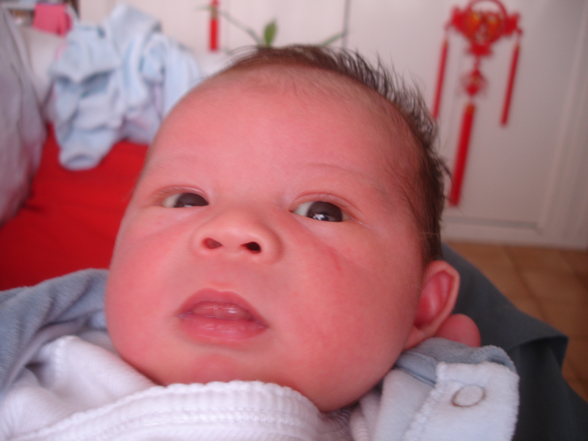 DSC05173.JPG
