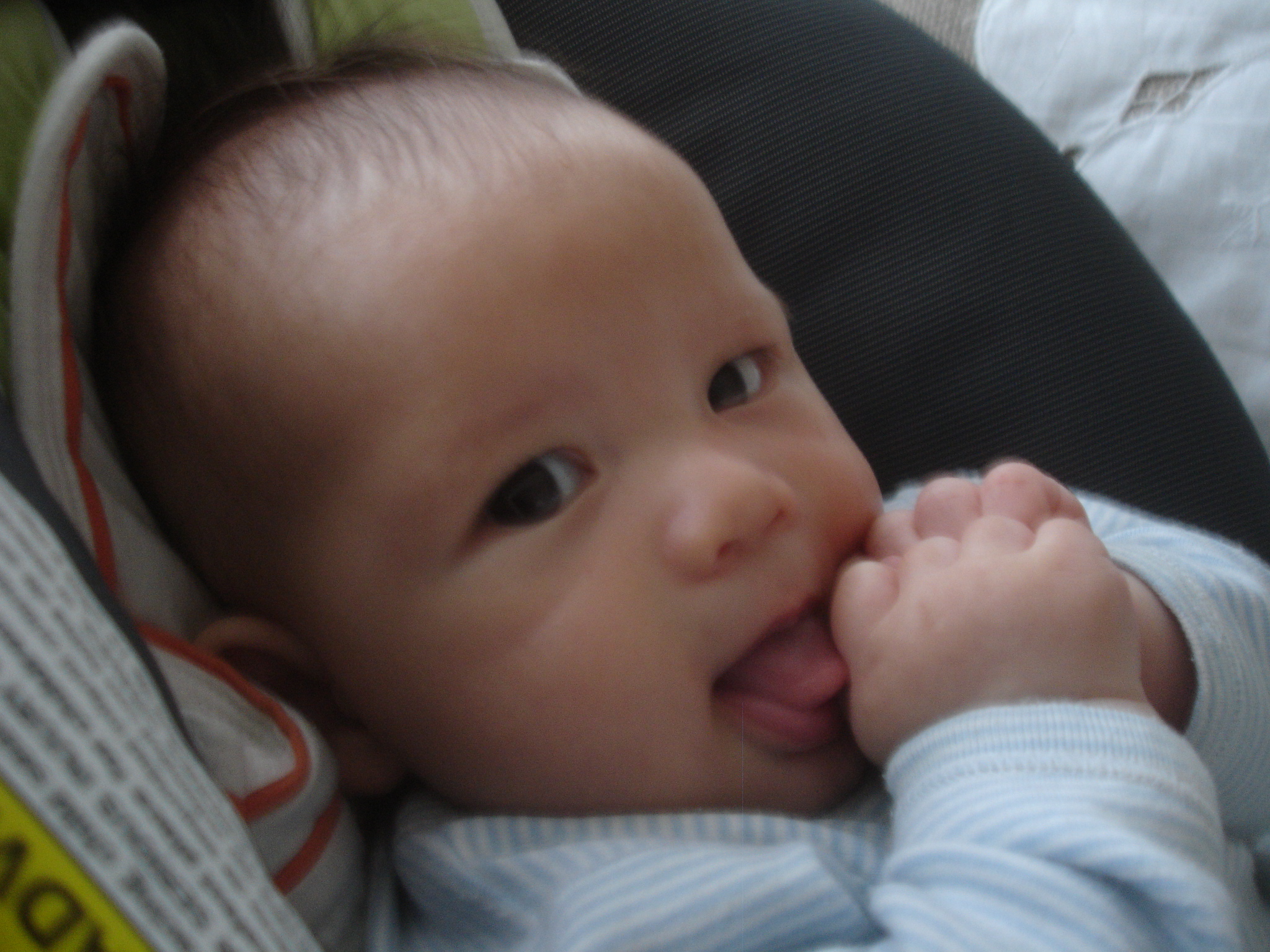 DSC06246.JPG